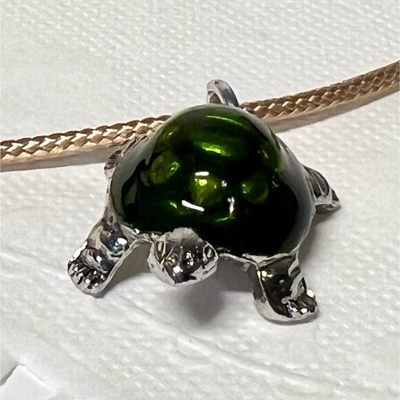 Green And Silver Turtle Charm Necklace On 18" Waxed Cord w/ Extension - Picture 6 of 9
